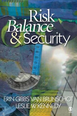 Cover of Risk Balance and Security