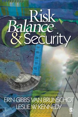 Book cover for Risk Balance and Security