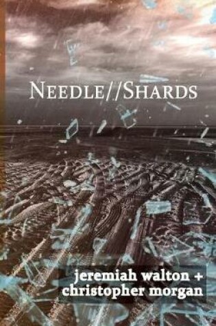 Cover of Needle // Shards