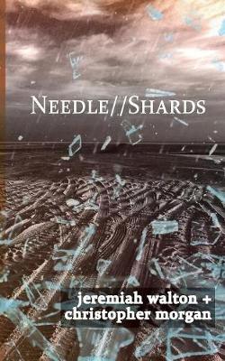 Book cover for Needle // Shards