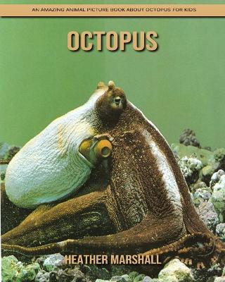Book cover for Octopus