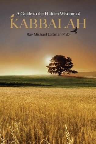 Cover of A Guide To Hidden Wisdom Of Kabbalah