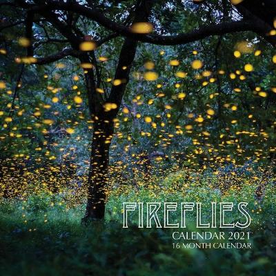 Book cover for Fireflies Calendar 2021