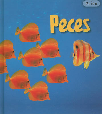 Book cover for Peces