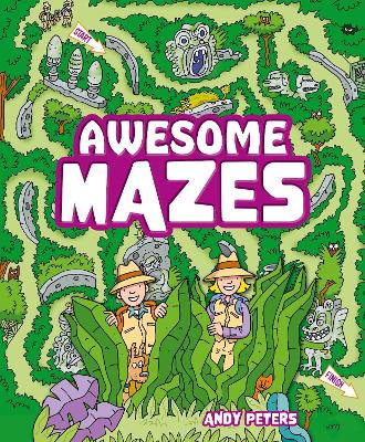 Book cover for Awesome Mazes