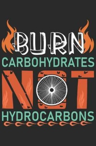 Cover of Burn Carbohydrates Not Hydrocarbons