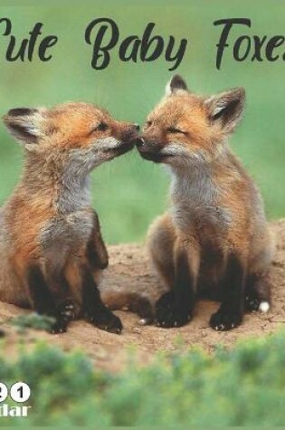 Cover of Cute Baby Foxes 2021 Calendar