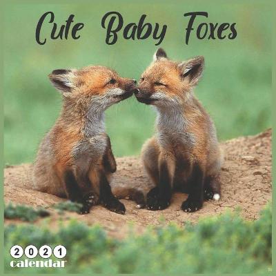 Book cover for Cute Baby Foxes 2021 Calendar