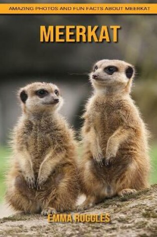 Cover of Meerkat