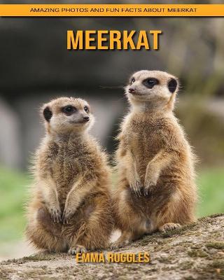 Book cover for Meerkat