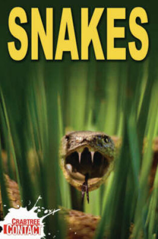 Cover of Snake Bite