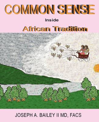 Book cover for Common Sense Inside African Tradition