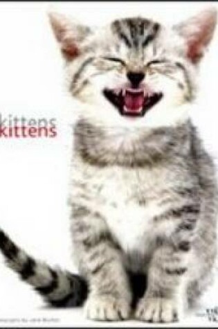 Cover of Kittens & Kittens