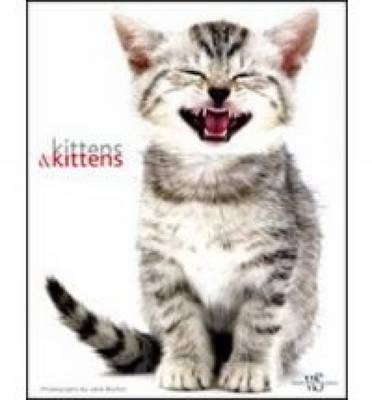 Book cover for Kittens & Kittens