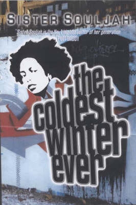 Book cover for The Coldest Winter Ever - New Ed.