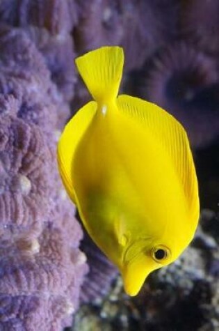 Cover of Yellow Tang Swimming on the Reef Journal