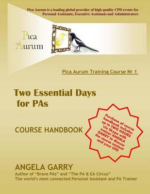 Book cover for PICA AURUM training course nr 1