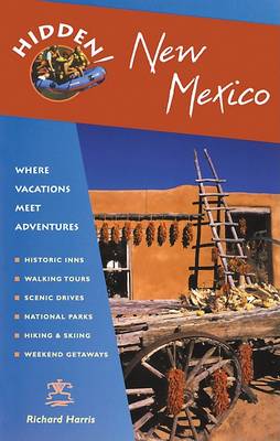 Book cover for Hidden New Mexico