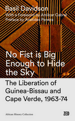 Book cover for No Fist Is Big Enough to Hide the Sky