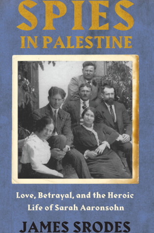Cover of Spies In Palestine