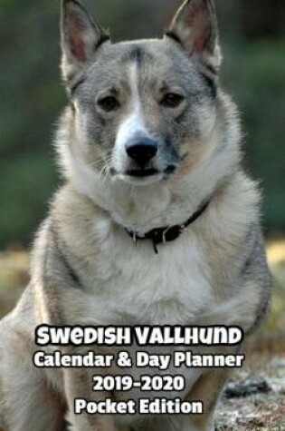 Cover of Swedish Vallhund Calendar & Day Planner 2019-2020 Pocket Edition