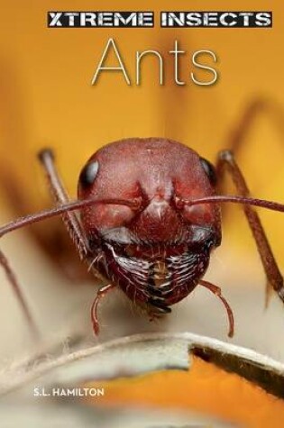 Cover of Ants