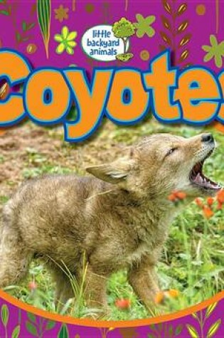 Cover of Coyotes