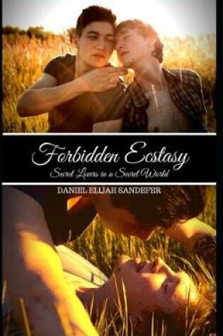 Cover of Forbidden Ecstasy