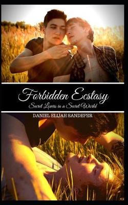 Book cover for Forbidden Ecstasy