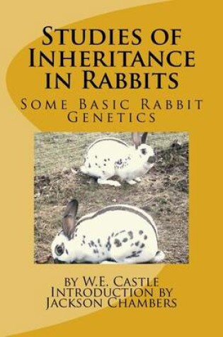 Cover of Studies of Inheritance in Rabbits