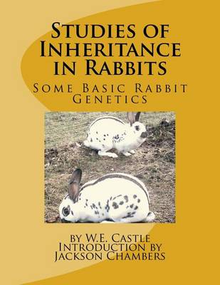 Book cover for Studies of Inheritance in Rabbits