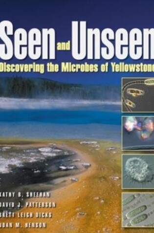 Cover of Seen and Unseen