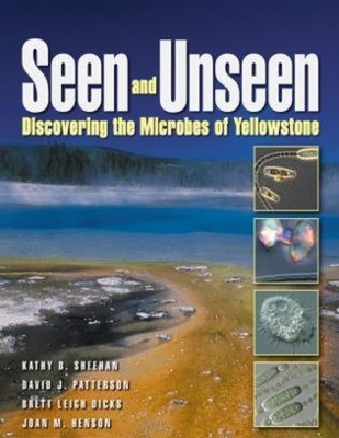 Book cover for Seen and Unseen