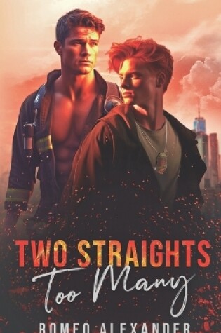 Cover of Two Straights Too Many
