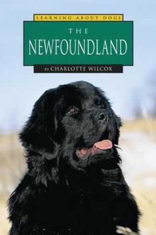 Cover of The Newfoundland