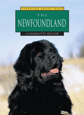 Cover of The Newfoundland