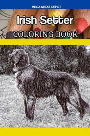 Cover of Irish Setter Coloring Book