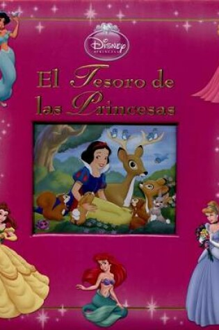 Cover of Tesoro de Las Princesas, El