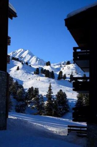 Cover of The Alps in Winter