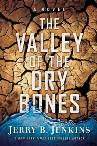 Cover of The Valley of Dry Bones