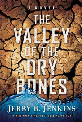 Book cover for The Valley of Dry Bones