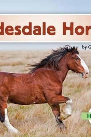 Cover of Clydesdale Horses