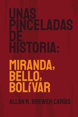 Book cover for Unas Pinceladas de Historia