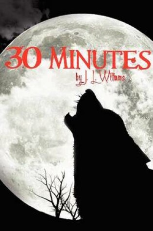 Cover of 30 Minutes