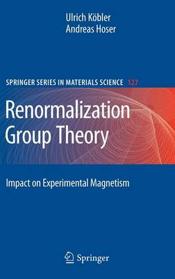 Cover of Renormalization Group Theory