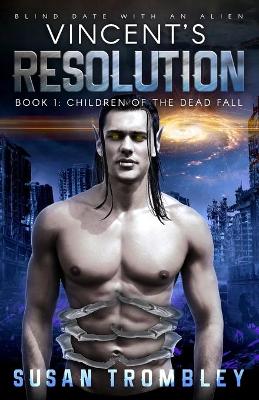 Book cover for Vincent's Resolution