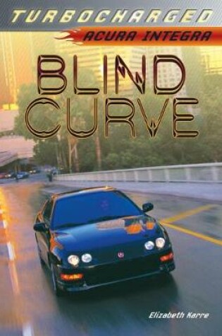 Cover of Blind Curve