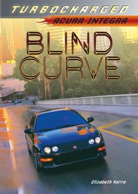 Book cover for Blind Curve