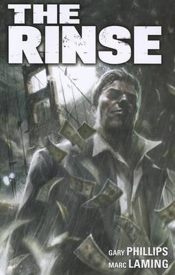 Book cover for The Rinse