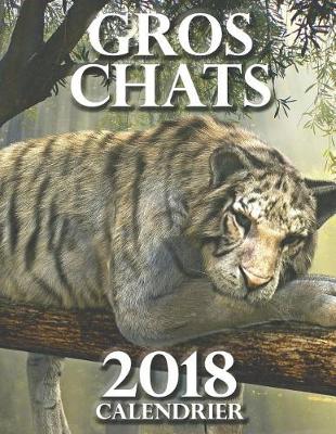 Book cover for Gros Chats 2018 Calendrier (Edition France)